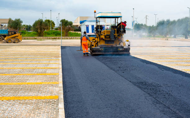Best Local Driveway Pavers  in Baxter Estates, NY